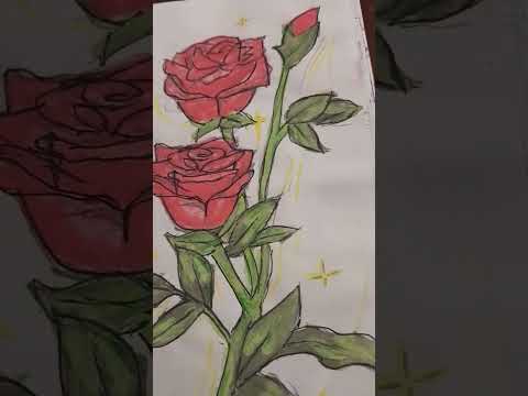 Colourful Drawing | Flower | Muneeba's Art | #drawing #art #flower #beautiful