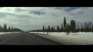 Wolves spotted along the highway in Oregon between Mt Hood and Mt Shasta