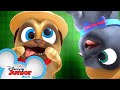 Waiting Song 🎶| Music Video | Puppy Dog Pals | Disney Junior