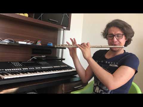 Tanburi Cemil Bey - Nikriz Sirto Yan Flüt Cover