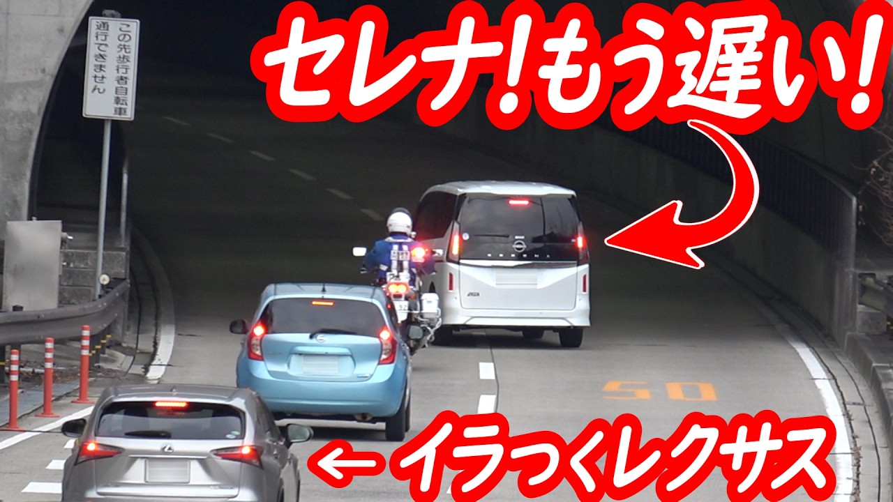 白バイに完全に不意を討たれた！焦るセレナとイラつくレクサス…【白バイ2台＋所轄パトによるスピード違反取り締まり】