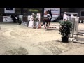 Prada 111 eerste parcour 65cm in dena stables ...