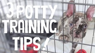 POTTY TRAIN MY FRENCH BULLDOG WITH ME! | Have Your PUPPY POTTY TRAINED In 3 EASY STEPS