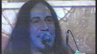 Afterhours &quot;Sui giovani d&#39;oggi ci scatarro su&quot; (Il Muro 1997)