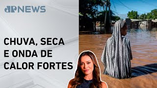 Miniatura do vídeo