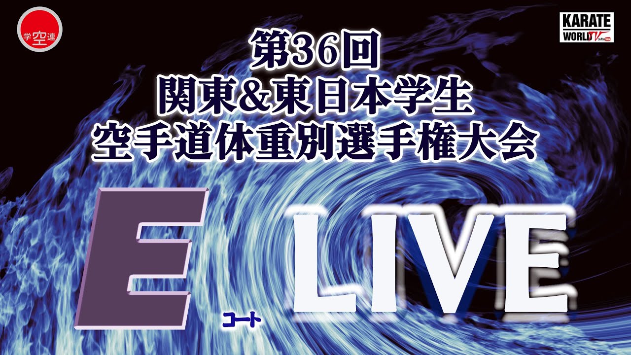 Eコート