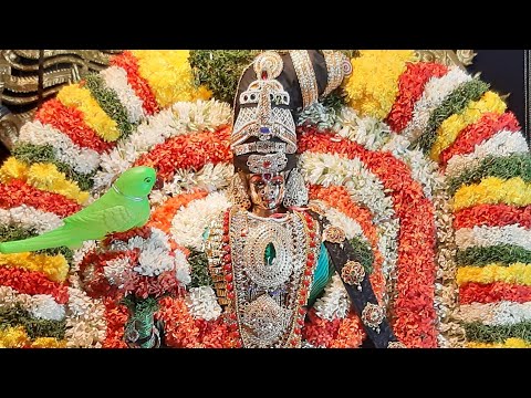 Morning Prayers at Sri Sivan Temple on 22/01/2021