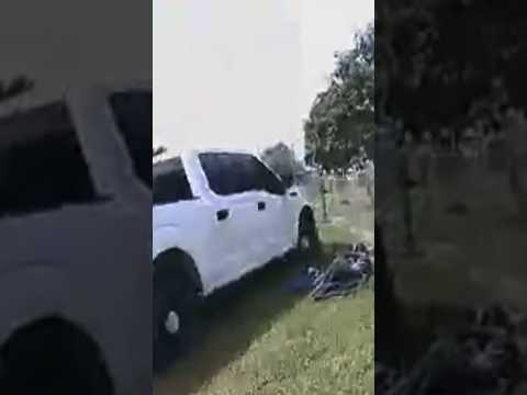 Texas police save man from swarm of bees
