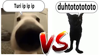 Cover art for turi ip ip ip vs duhtotototo