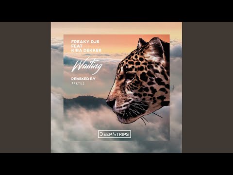 Waiting (Original Mix)