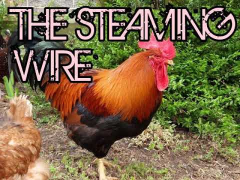 KIPSOIWET-TINGET KAPTEL FT RHINO KABOOM