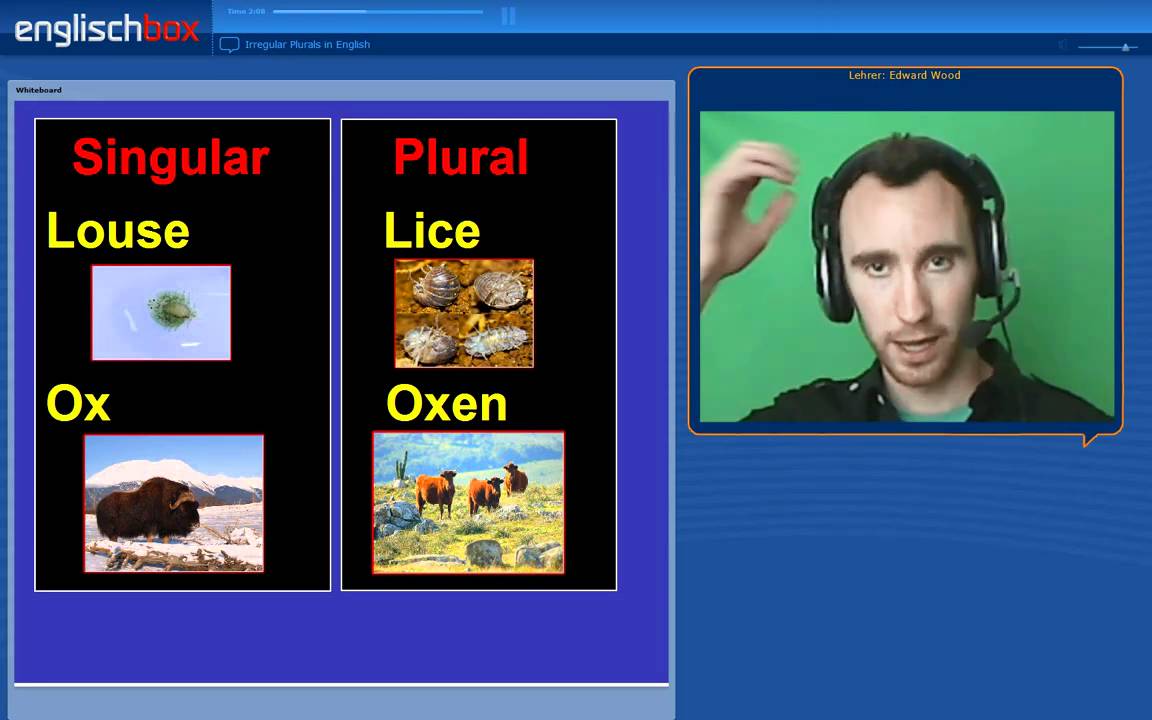Learn English Plurals and Irregular Plurals in English