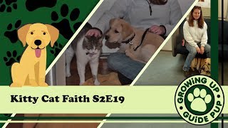 GUGP Season 2 - Week 19 - B.A.R.T.