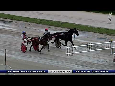 Aversa trotto 8 Aprile 2023 - Prova di qualifica