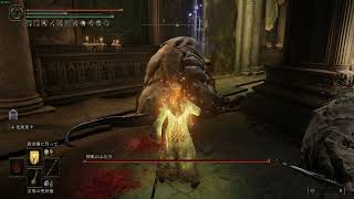 エルデンリング 神肌のふたり  睡眠で楽々撃破 EldenRing 【PC】