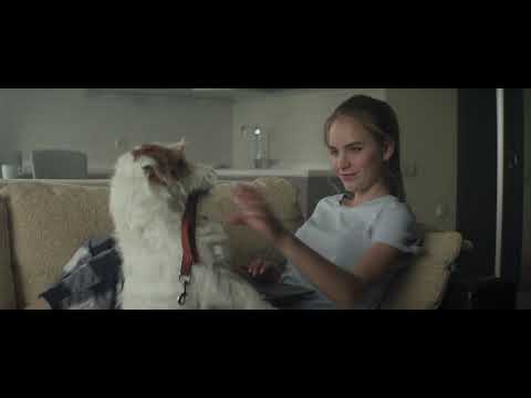 INTRO для конференции YAC 2018 "Сервисы Яндекса"