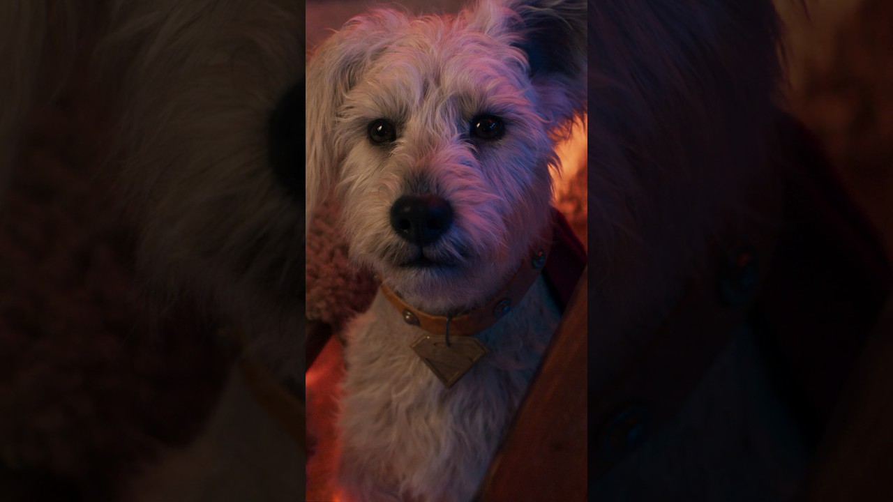 Miniature de la vidéo You had me at woof. du film Supergirl