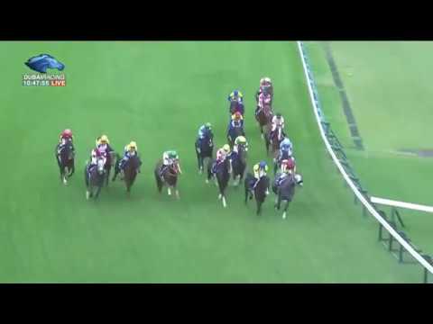 2019.10.27 Tenno Sho (Autumn) - Almond Eye