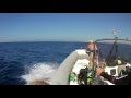 Wreck "Romagna", Cagliari, Sardinia, Romagna, Wrack, Ocean Blue Diving, Kala e Moru, Geremeas (Sardinien), Italien, Sardinien, Capitana