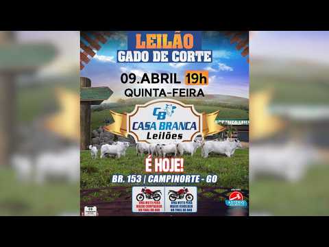 LEILÃO GADO DE CORTE CASA BRANCA LEILÕES -  CAMPINORTE - GO 09 /04 / 2026