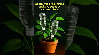 Me arrepiento de no haber aprendido estas ideas antes