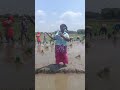 Old Is Gold Always Agriculture Shorts
