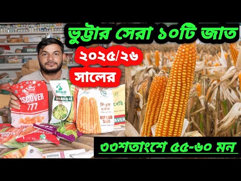 ভুট্টার সেরা ১০টি জাত ২০২৫/২৬ সালের।Top 10 maize seeds. 