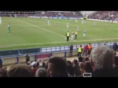Chicken invades the pitch! Blackburn 1 - 1 Burnley 17/03/2013