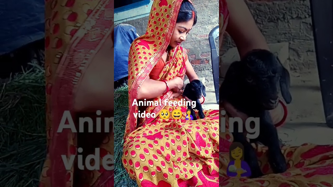 🤱🥺Animal feeding #shortsvideo