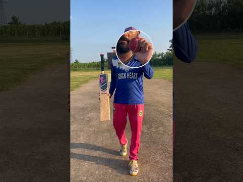 Test Bat Quality Test With Leather Ball ? Will It Survive | #shorts #cricket