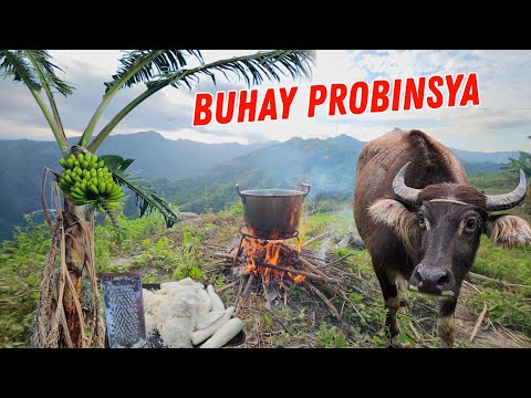BUHAY PROBINSYA MASIPAG KA LANG MAGTANIM MAY MAKAKAIN KA DITO