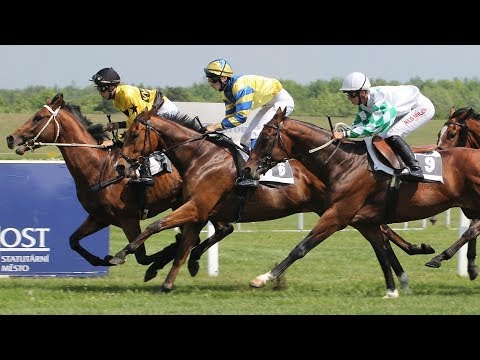 Živě: Špičkoví sprinteři i Velká mostecká. Sledujte dostihy v Mostě