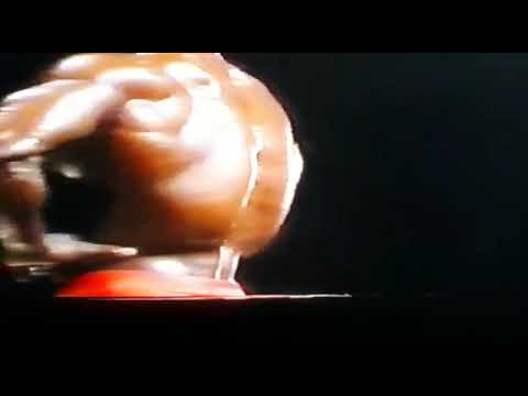 Lee Haney - Mr. Olympia 1983