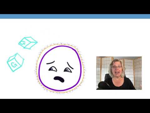 Tudo o que você sempre quis saber sobre insulina. . . | Revista Massage & Bodywork