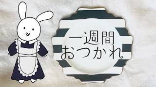 【雑談配信】今週も一週間おつかれ～～～【#バーチャルうさぎ】