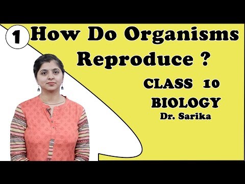 How Do Organisms Reproduce Class 10 Science / Biology | Role of DNA | Dr. Sarika