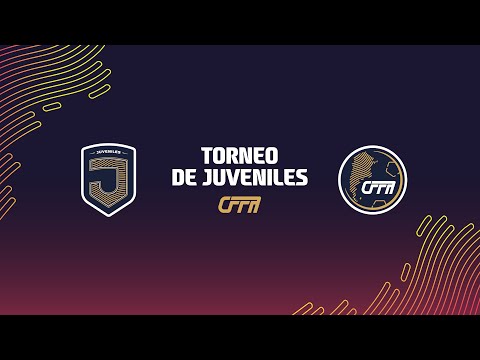 Torneo Federal Juvenil 2025 - Categorias Sub 13, Sub 15 Y Sub 17