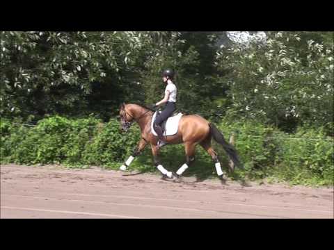 "PAV Schlaumeier" v. Strahlemann - Nemax - FS Don't Worry