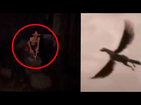 10 Criaturas Mitológicas Grabadas En Cámara Y En Vida Real