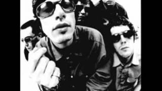 Super Furry Animals - Do Or Die (Live at Cardiff Millennium Stadium 31/12/99)