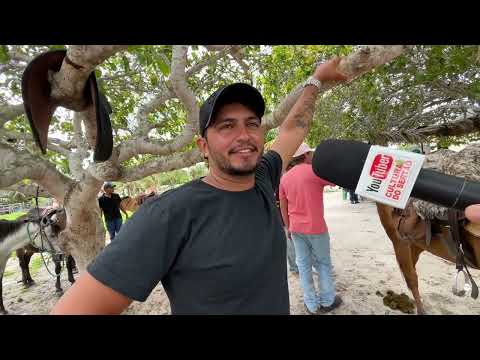 Feira de Cavalos do Bola Monteiropolis - AL 08 - 03 - 2026 #nordeste 