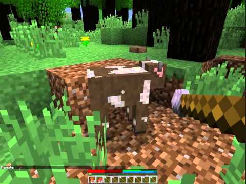 Let's Play Co-op: TerraFirmaCraft! - EP 3: The hunt for Resources