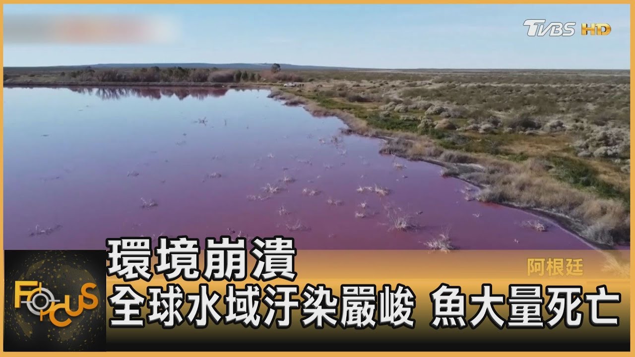環境崩潰!全球水域汙染嚴峻 魚大量死亡