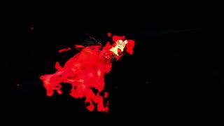 Download lagu Wolf Intro For Youtube ( No Copyright) mp3