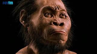 Class 6 Geography Chapter 5 || Major Domains of Earth