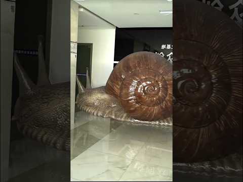 Animal Small To Giant Transformation...!!!