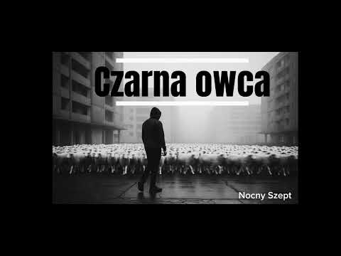 Nocny Szept - Czarna owca