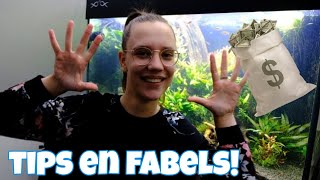 10 DO's en DON'Ts over ENERGIEBESPAREN in het AQUARIUM! //Nickey//