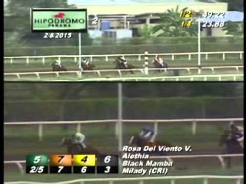 2DA CARRERA DOMINGO 8 DE FEBRERO 2015 HPR