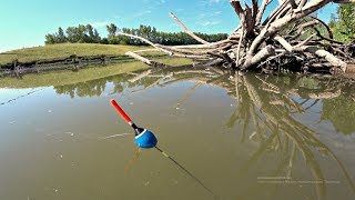 Рыбалка на удочку летняя видео